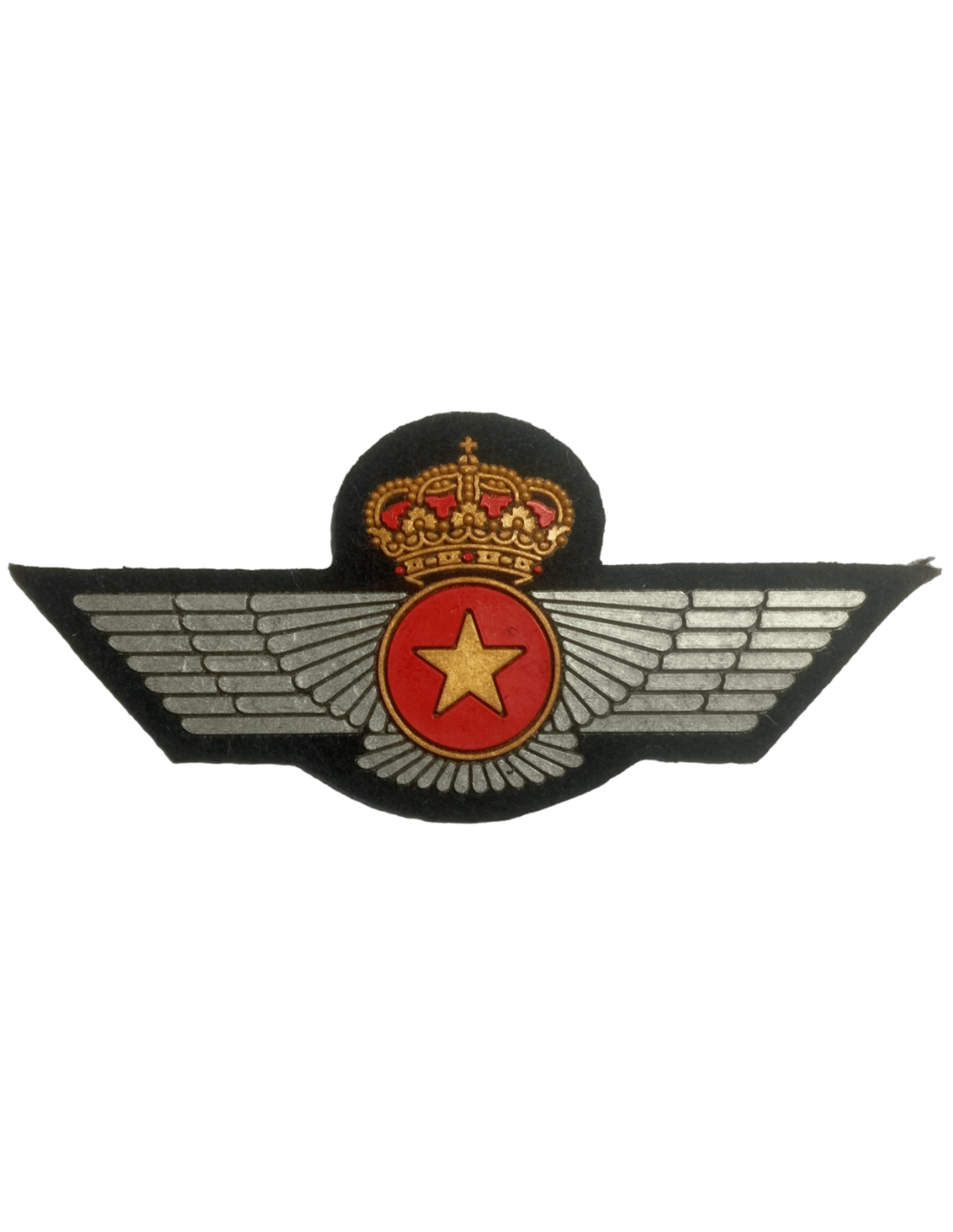 ROQUISQUI DE PVC TÍTULO OBSERVADOR DEL EJÉRCITO DEL AIRE - 1