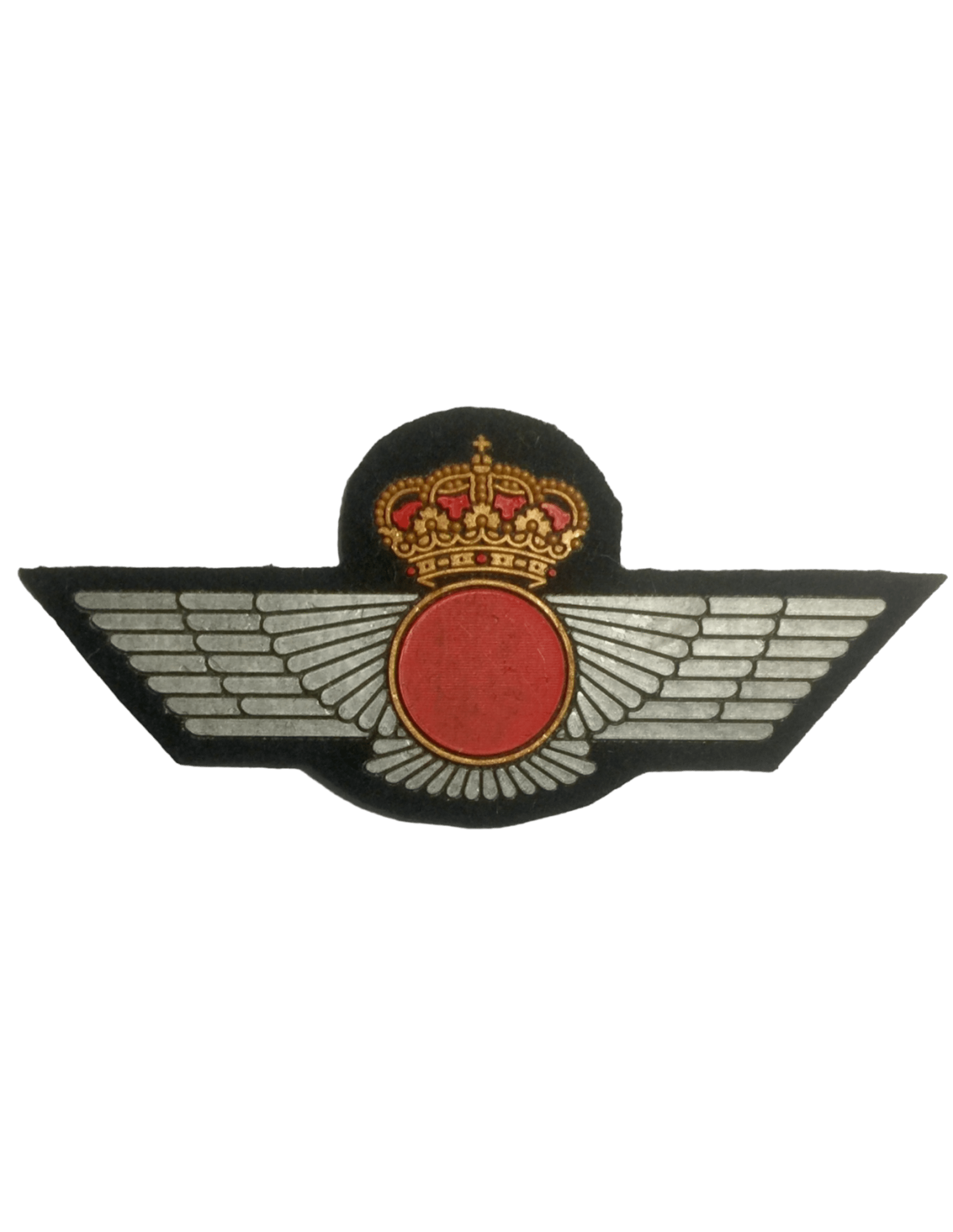 ROQUISQUI DE PVC CUERPO GENERAL DEL EJÉRCITO DEL AIRE - 1